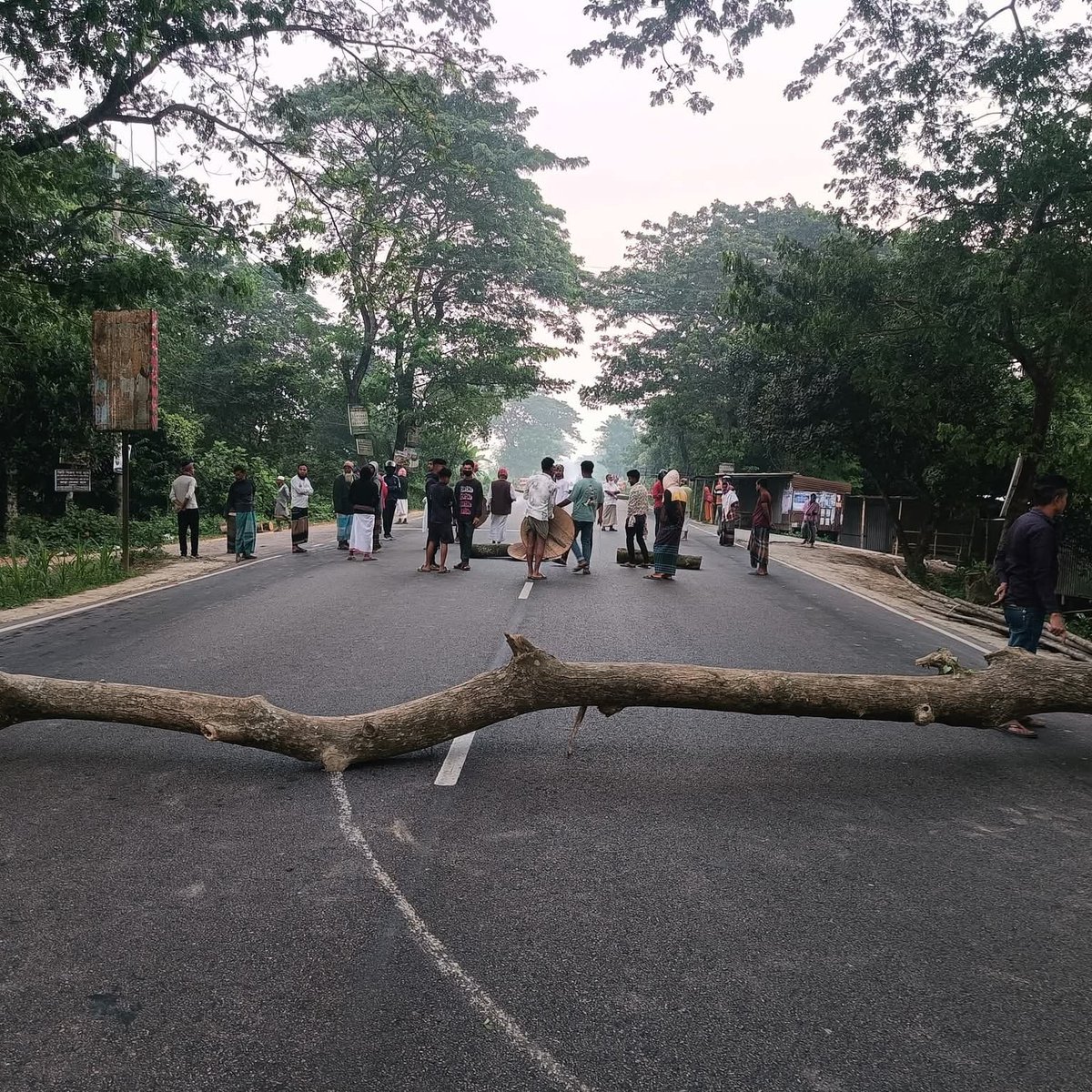 newsflash24bd's tweet image. newsflash24bd.comফরিদপুরে-রাস্তায়-গাছ-ফে/