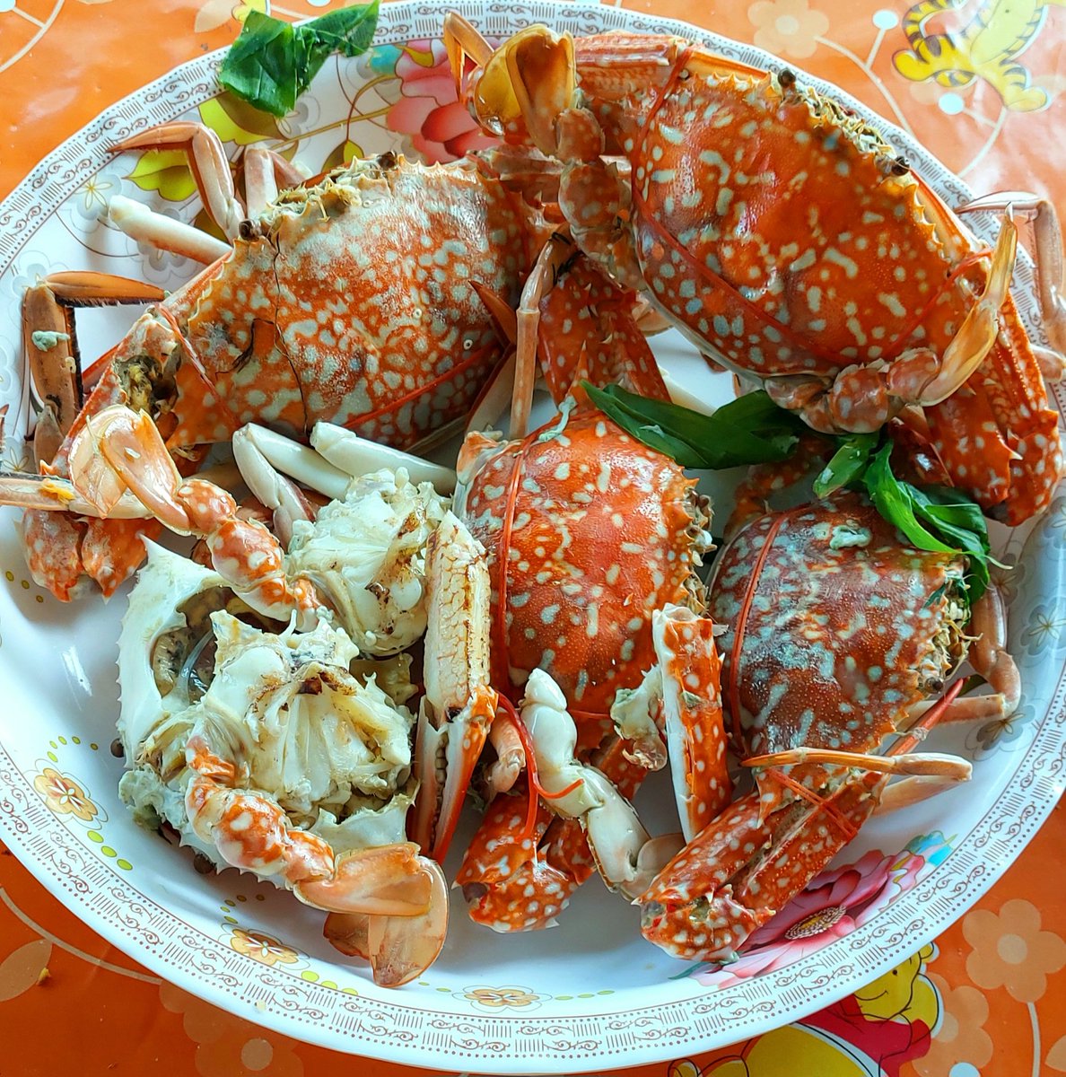 Breakfast this morning my wife bought some live crabs from our local market. I sat out on the terrace to eat them so I could wash everything down with water hose and have a good shower at the same time. 
They were full of meat and so very sweet, absolutely very delicious 😋🤤🤌🥰