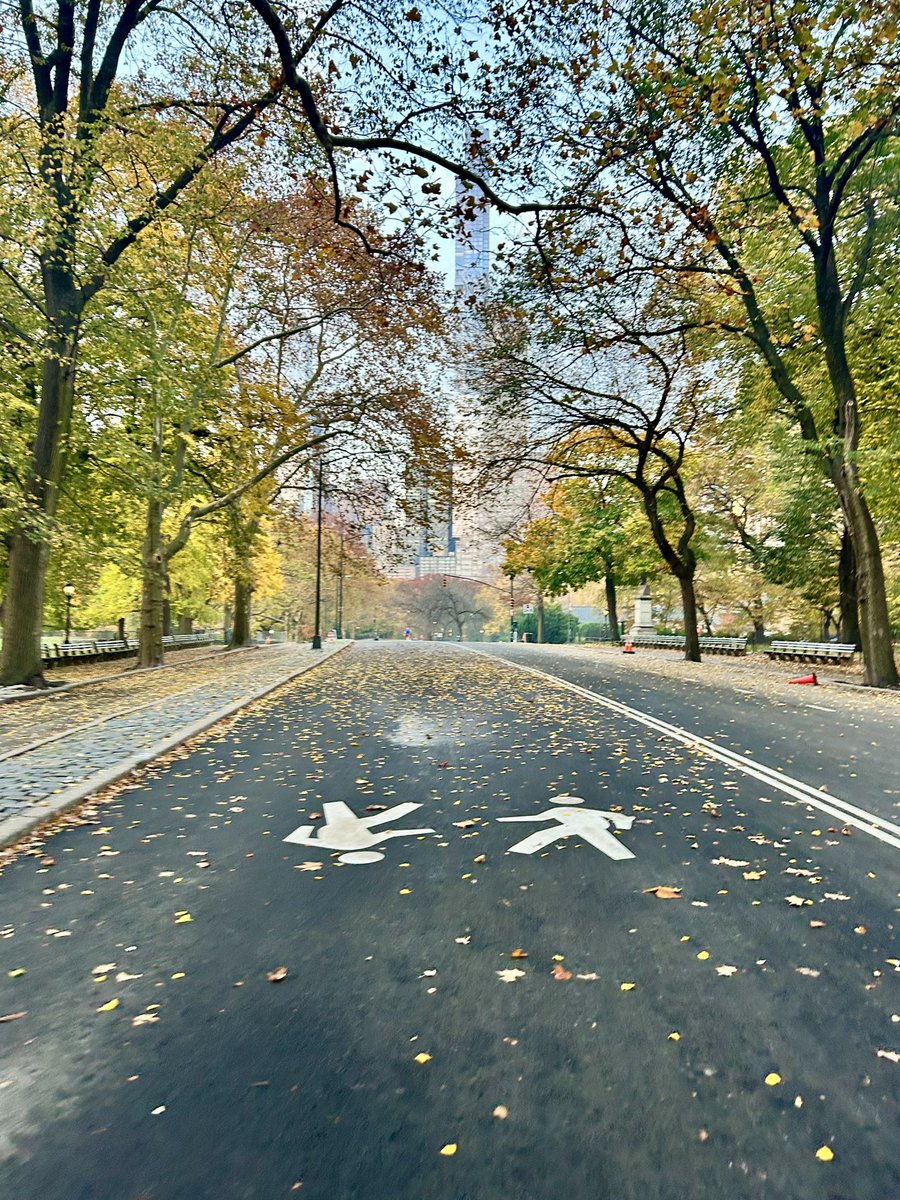 Quietest before the sunrise 🌅
Morning runs 🏃🏻‍♂️powering the science 🧬 Fantastic collab with Wil &amp; Yuval from <a href="/bengrbm/">Benjamin D. Greenbaum</a> on #PDAC #immunology 

Big welcome to <a href="/nasca_vincenzo/">Vincenzo Nasca</a> joining the #sPARKLab. Momentum is real.
<a href="/MarcHilmi/">Marc Hilmi</a> <a href="/MSK_DeptOfMed/">MSK Department of Medicine</a> 
#PancreasWars <a href="/FredsTeam/">Fred's Team</a>
