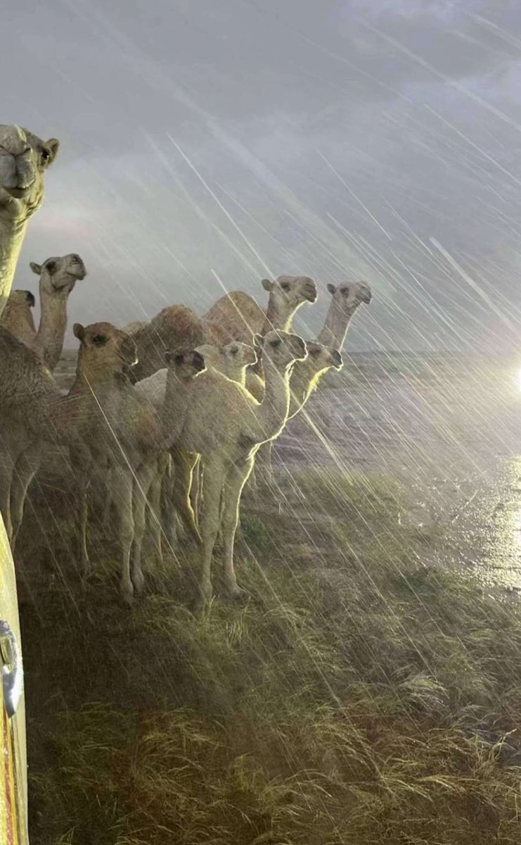 اللهم أغثنا ،  اللهم  أغثنا ،  اللهم  أغثنا