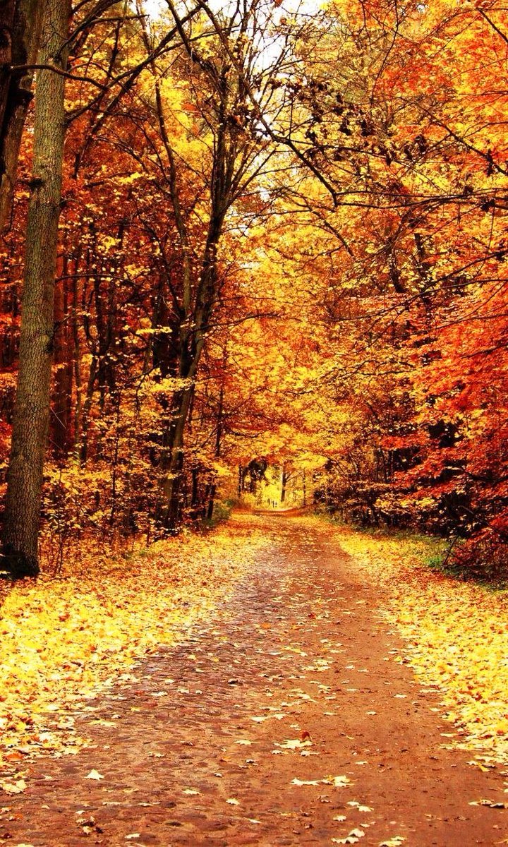 123 (@xetra_a) on Twitter photo 