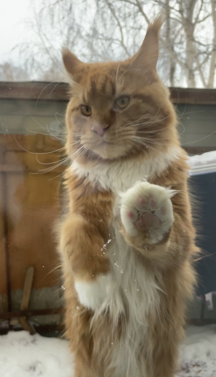 #нюдсовыйчетверг #нюдс 
Выставляю самый секс