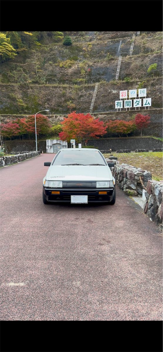 エアロダイナミックグリル さらに樹感😂