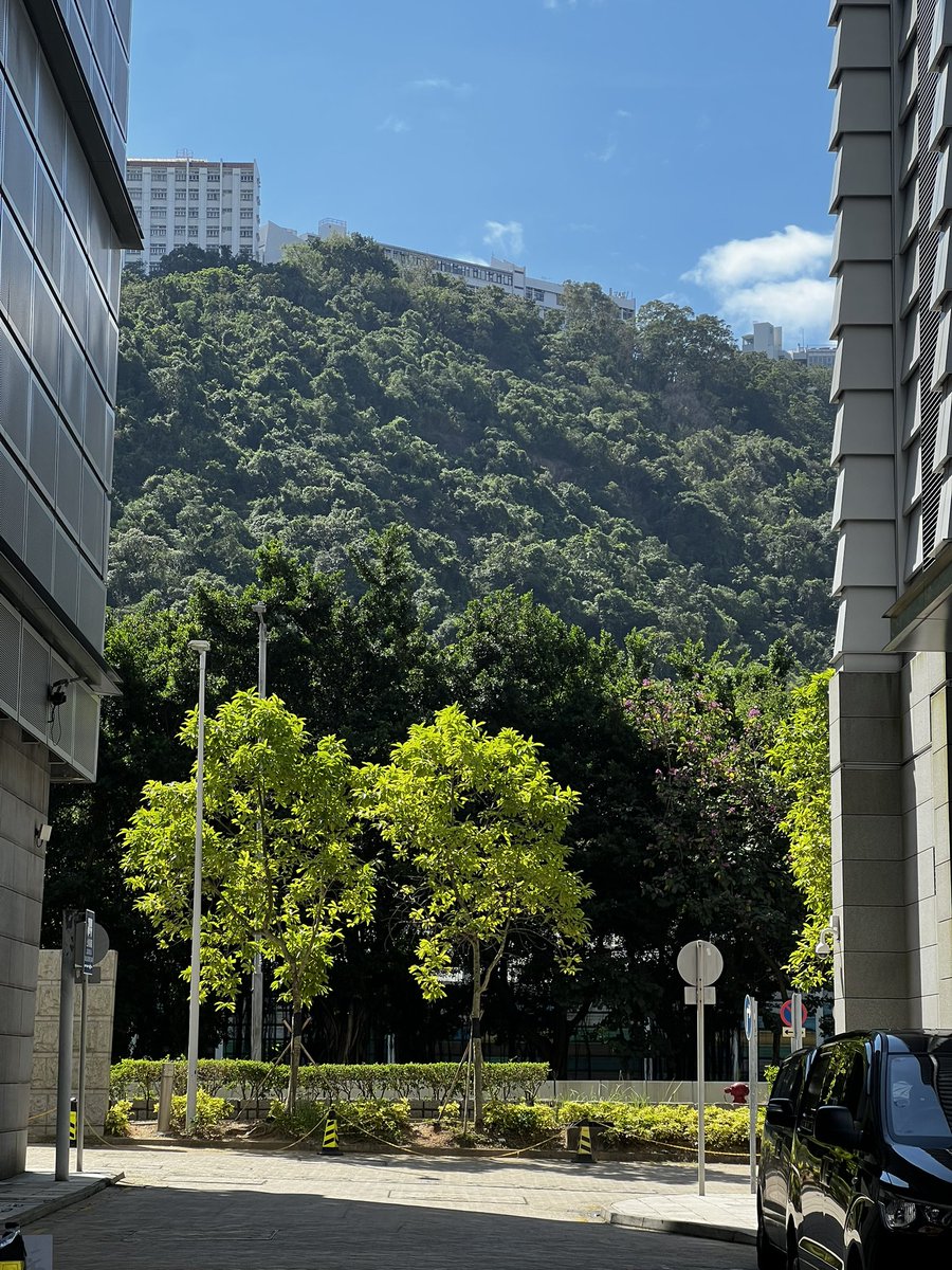 VVVVJF's tweet photo. 我爱最近的天气 https://t.co/HJBhFMAWaI