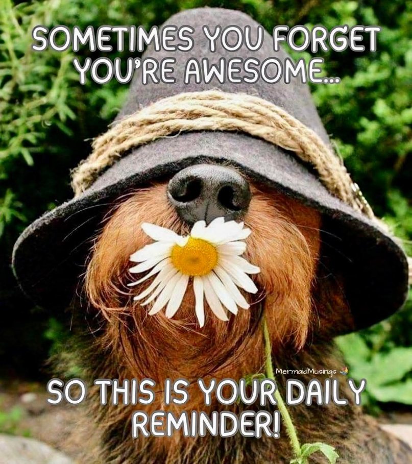 <a href="/Shannon96574094/">Shannon</a> Thank you honey 🍯🍯