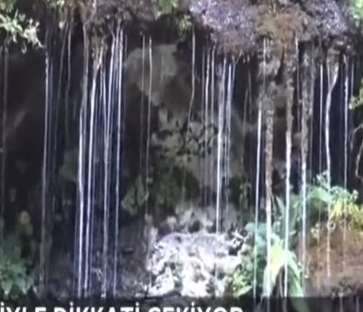 Başkasının yanlışını görmek ve onu eleştirmek kolaydır. Erdemli davranış, kendi yanlışını görme ve eleştiriye kendinden veya yakın çevresinden başlamaktır.