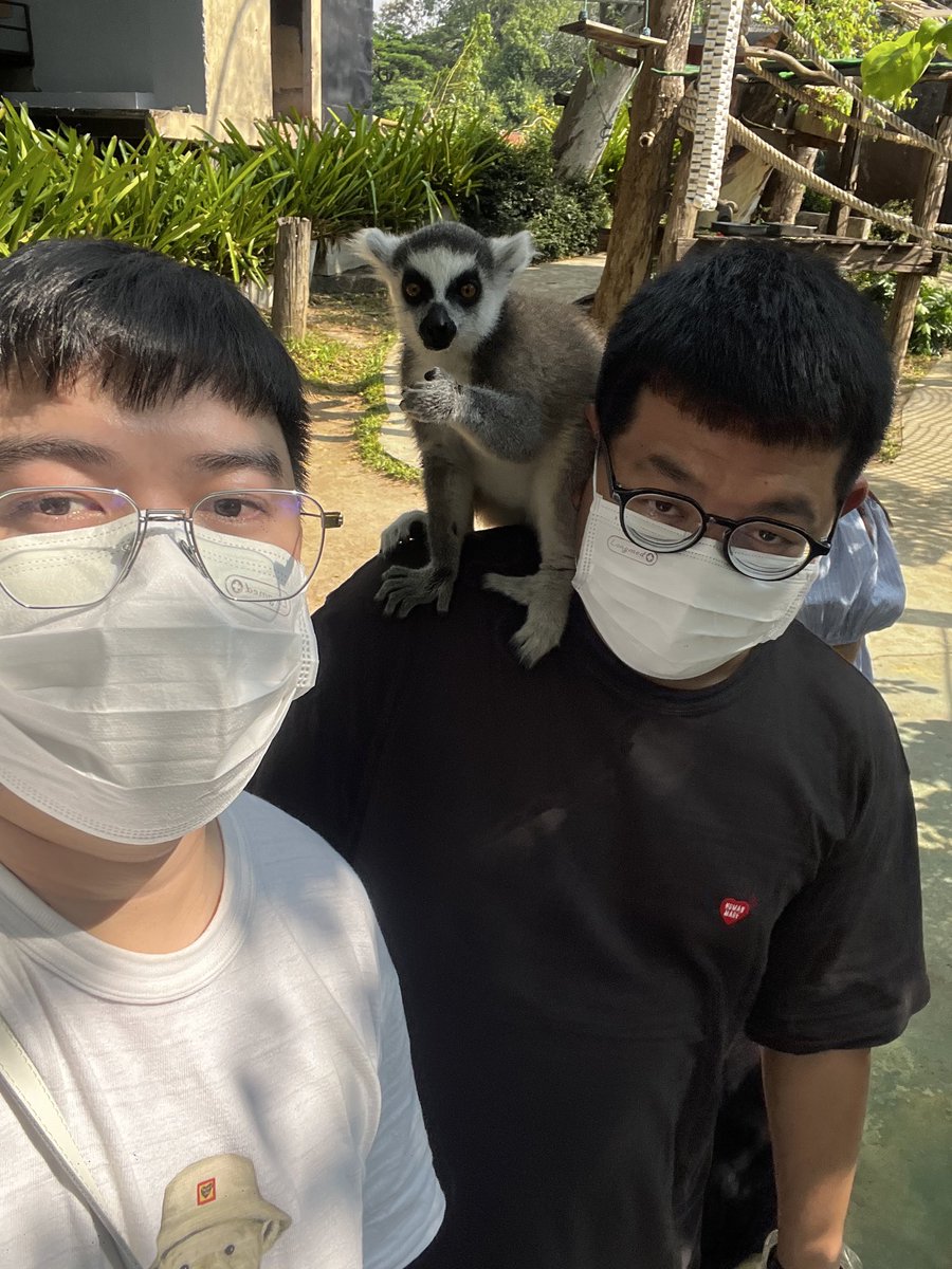 plmr_xx's tweet photo. น้องลีเมอร์คือน่ารักโคตรๆ https://t.co/8mZzhArtVK