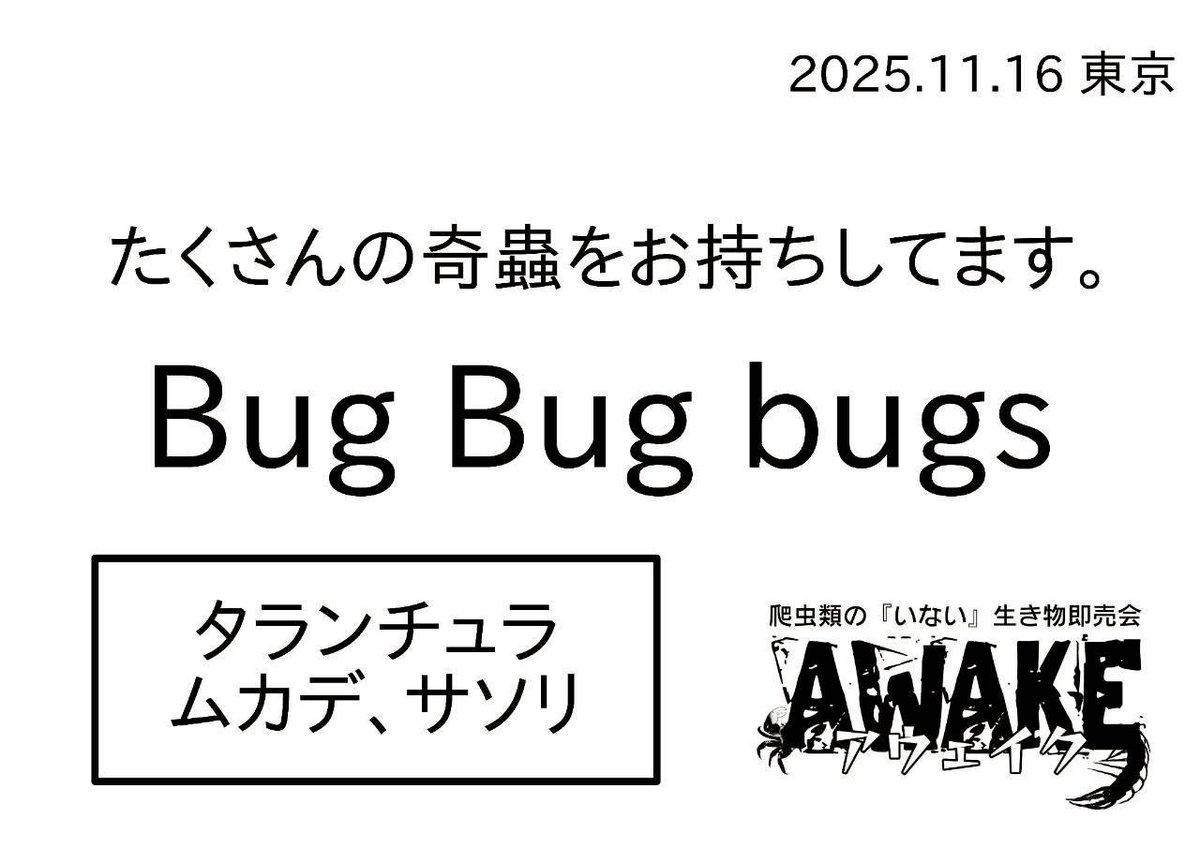 2025,11,16に南青山の小原流会館にて開催される東京AWAKEの出店者紹介⑦
