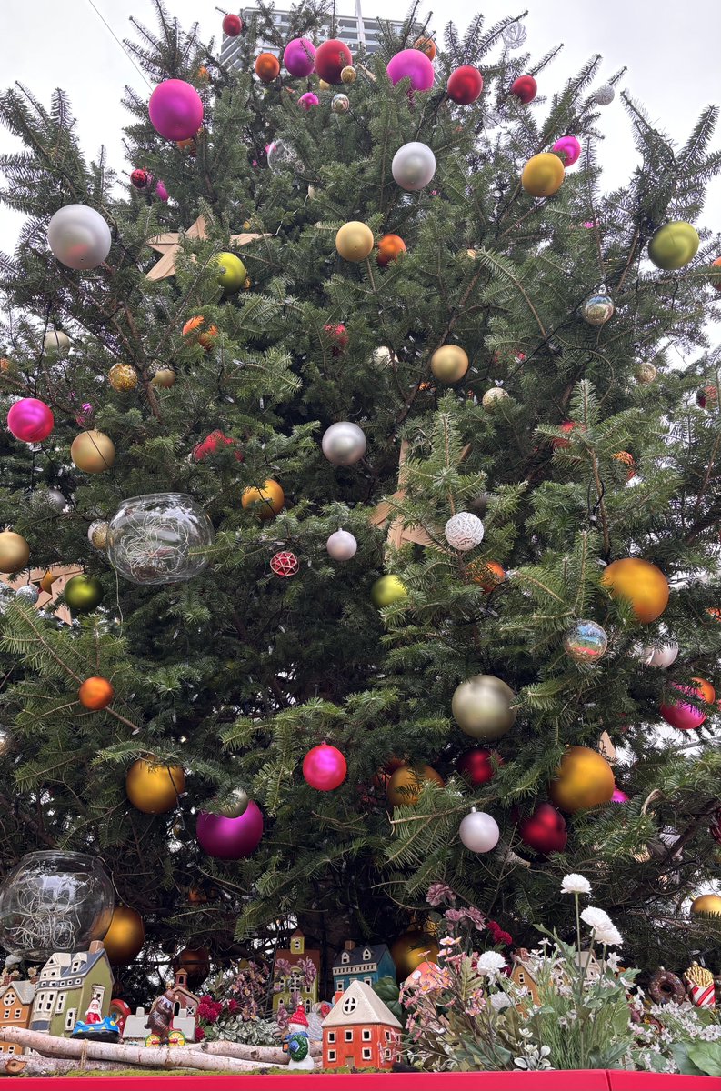 でっかいクリスマスツリーに遭遇