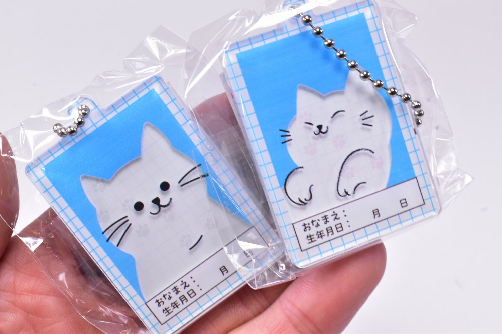 ✨新商品案内 2025年11月13日(木)✨／ ☑️証明写真風 おなまえ