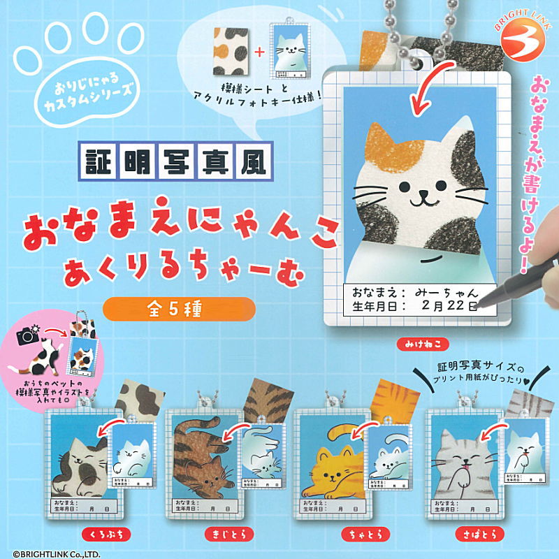 ✨新商品案内 2025年11月13日(木)✨／ ☑️証明写真風 おなまえ