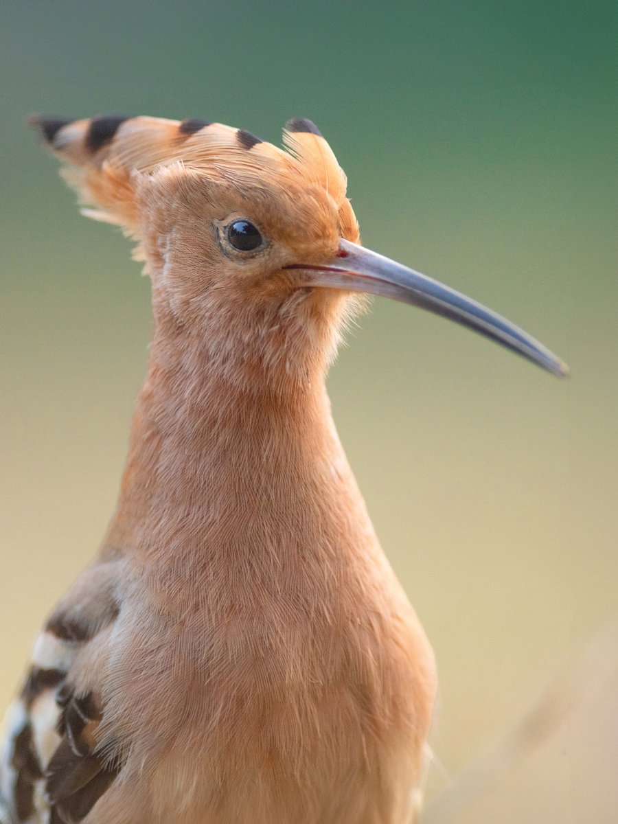 Share an up-close photo with us!