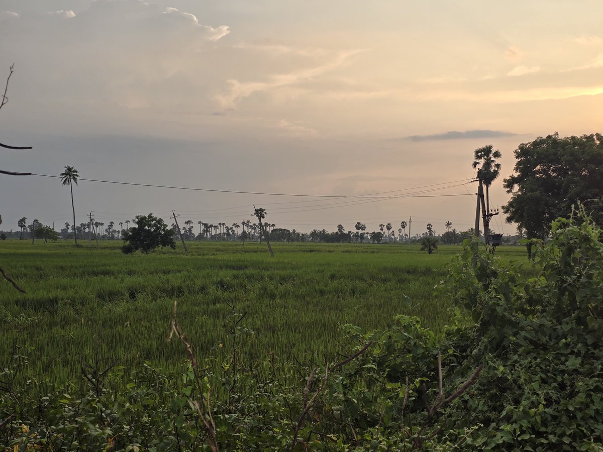 <a href="/sriniksv/">Srinivas</a> #GreenTwitter