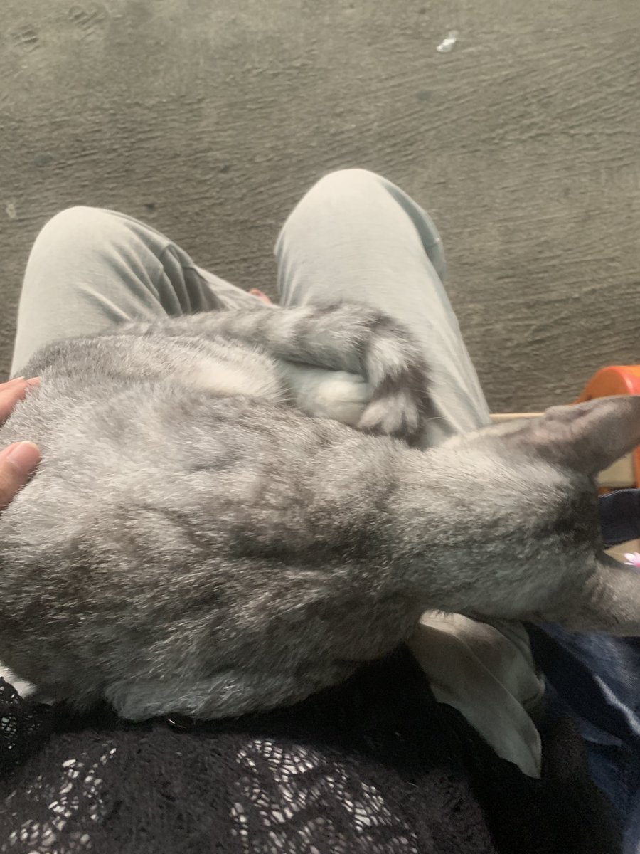 unleashedjake's tweet image. life outside twt 🍃