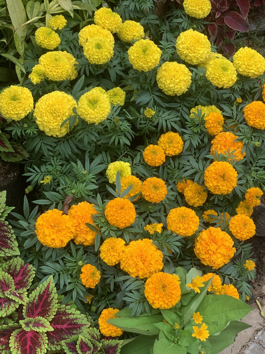 unleashedjake's tweet image. life outside twt 🍃