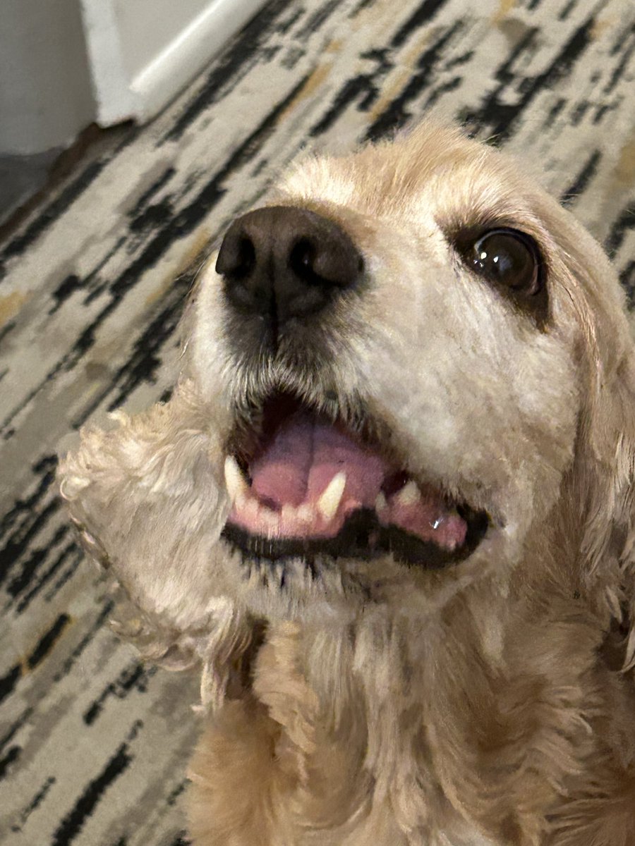 11-13-25 Mia’s Heavenly Bd