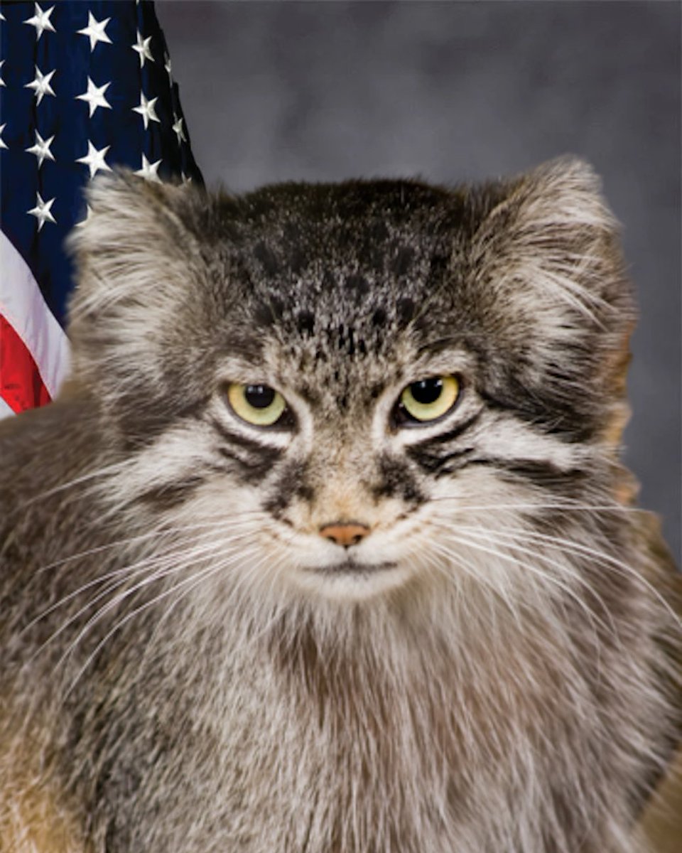 We like to have fun here