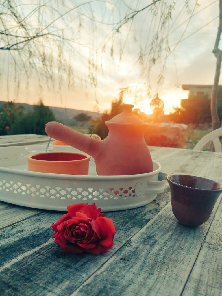 ℓιℓιαη 🦋☕ tweet media