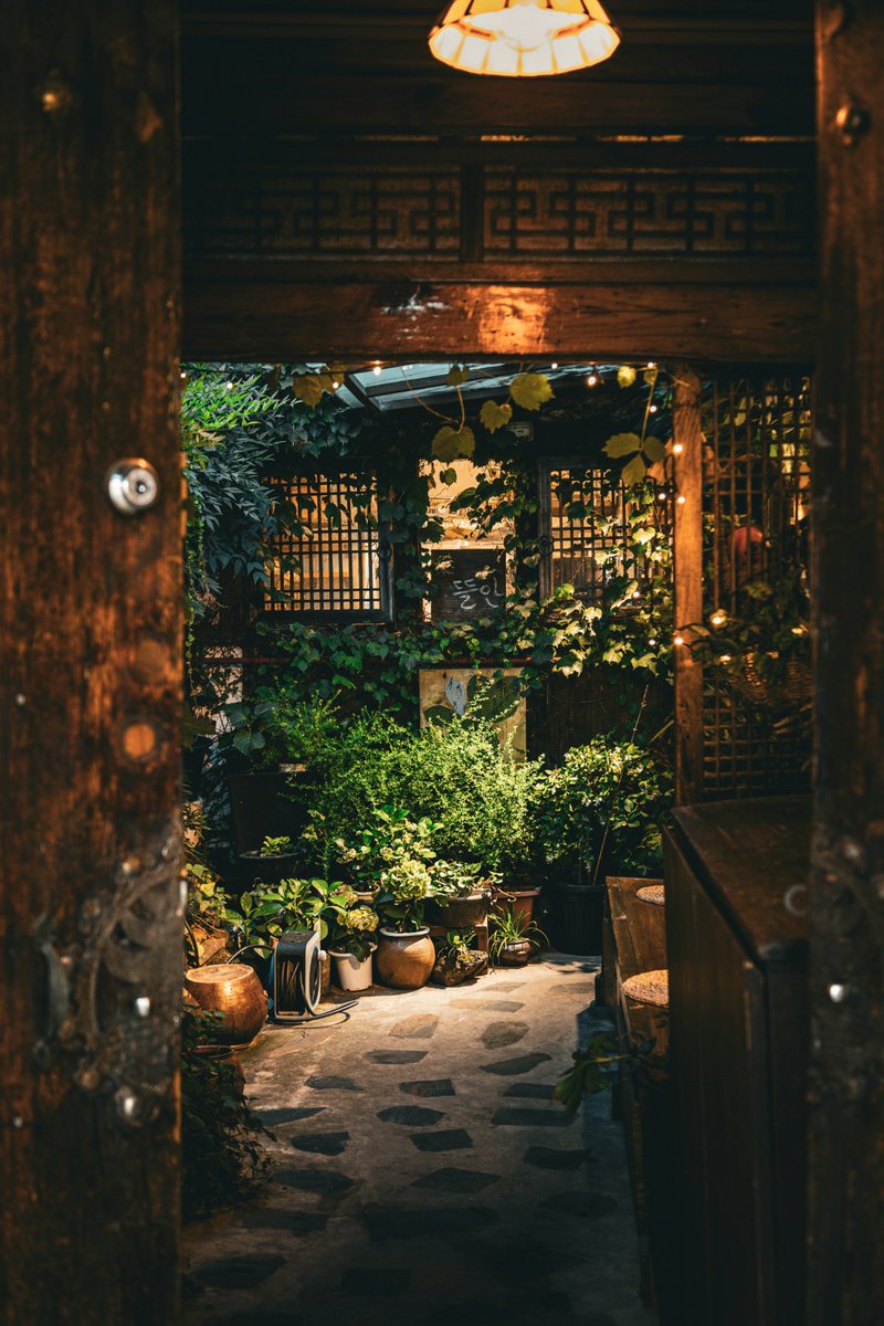 CostwayFrance's tweet image. Ouvrez la porte… et laissez la sérénité entrer 🍃✨
Entre bois, feuillage et lumière douce, chaque recoin respire la nature et la chaleur. Un refuge parfait pour ralentir, respirer et rêver. 🌾

#ideedeco #passiondeco #inspideco #instadecoration #design #homeinspo #costwayfrance