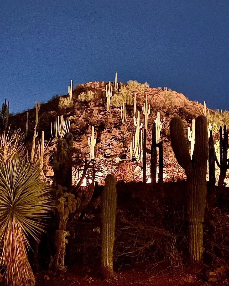 Happy Thursday everyone! Goodnight from Arizona. 🌙