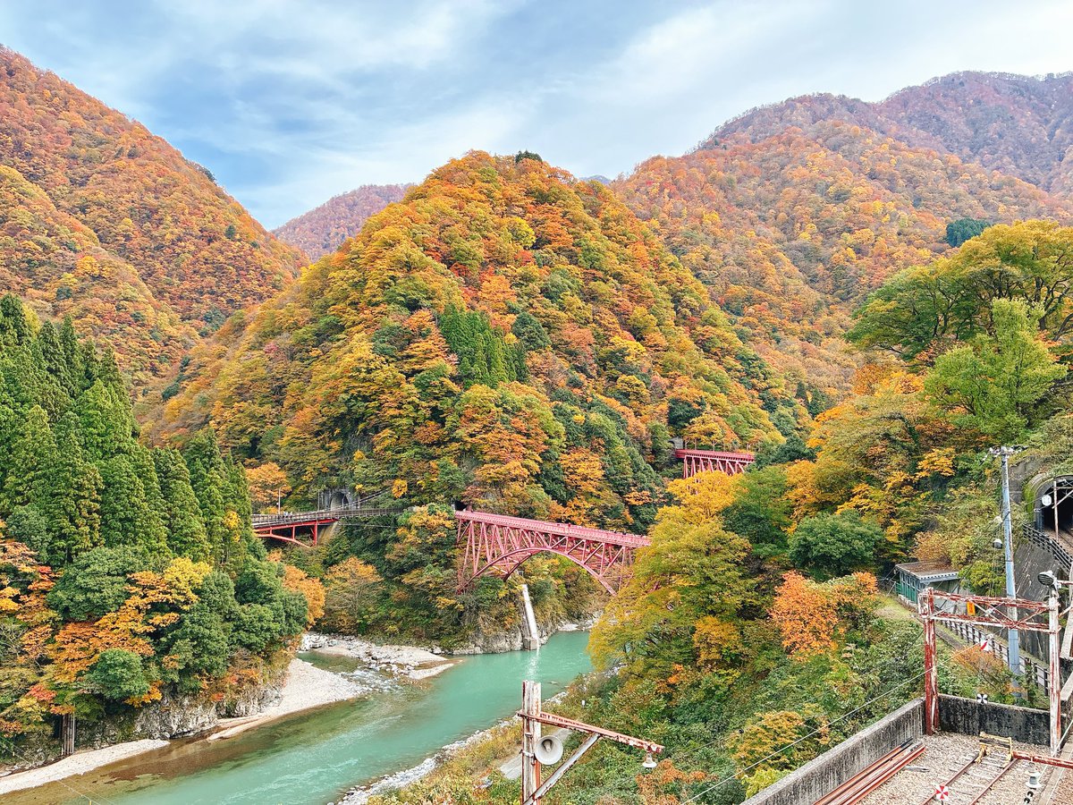 sunnymiho2's tweet image. 黒部のトロッコ列車に乗ってきました！
紅葉真っ盛り🍁✨
