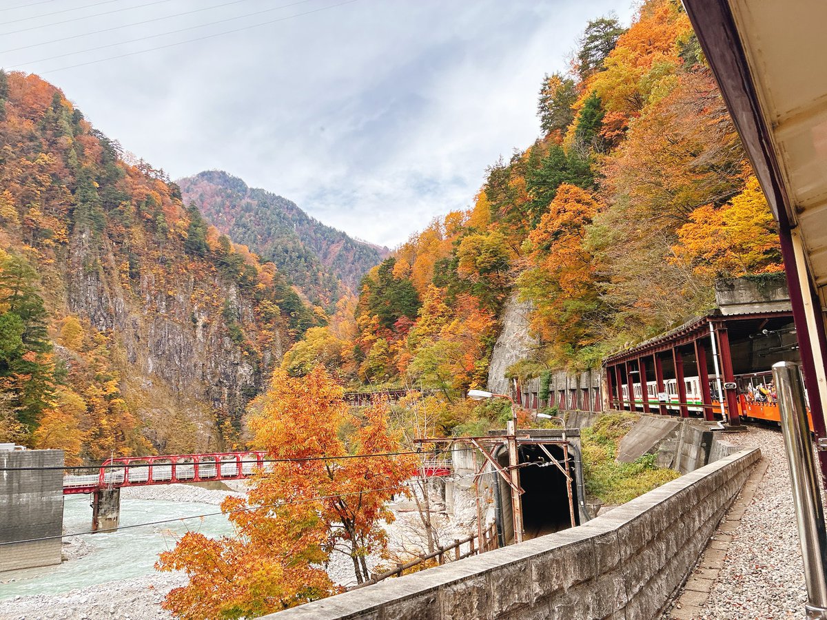 sunnymiho2's tweet image. 黒部のトロッコ列車に乗ってきました！
紅葉真っ盛り🍁✨