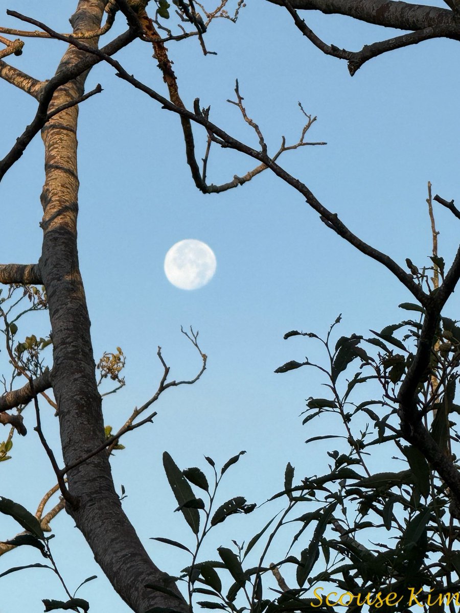 scouse_kim's tweet image. Thursday 👍👍🥰