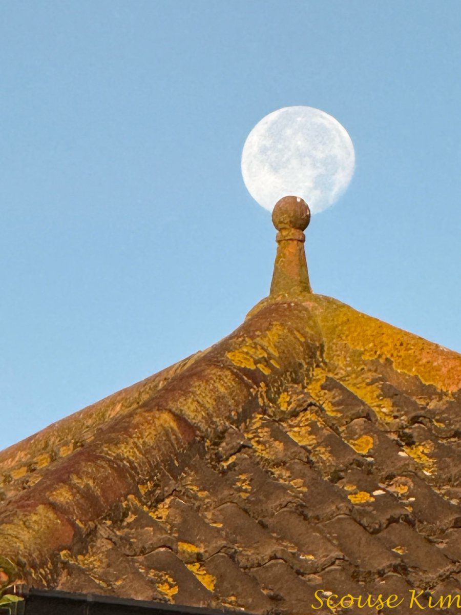 scouse_kim's tweet image. Thursday 👍👍👍👍🥰