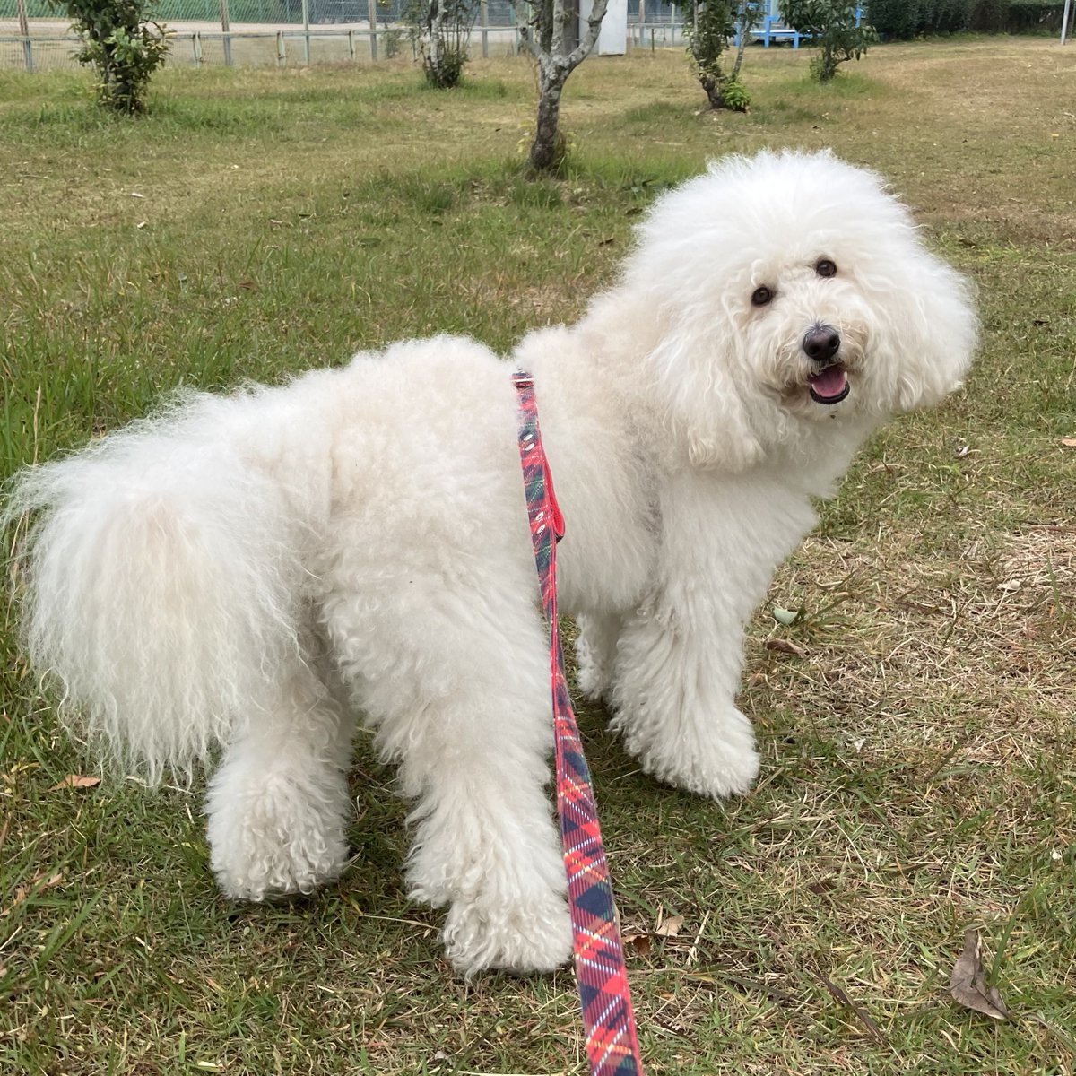 『楽しいワン』