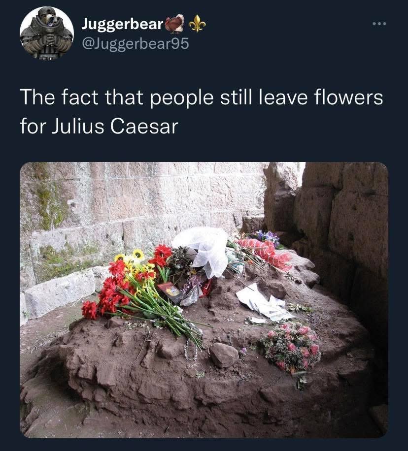 UpdatingOnRome's tweet image. 