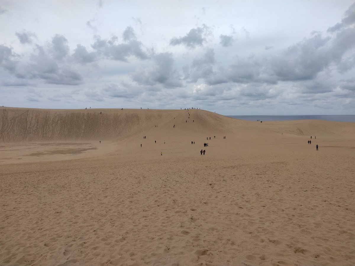 ラクダには乗れなかった。
時間があれば鳥取城攻めもできたな。渡辺美術館にも行きたかった。