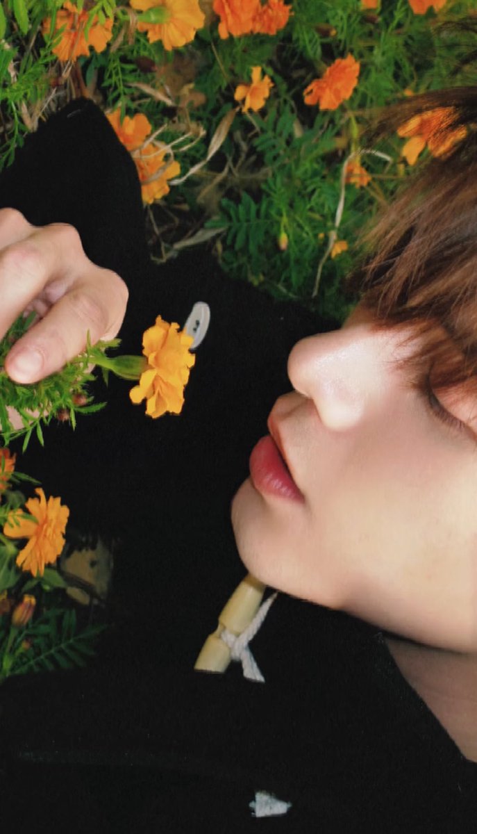 우웃우우우웃우웃우