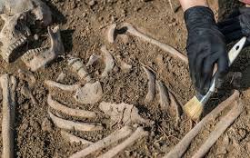 Forensicprophet's tweet image. A thread that binds parameters such as sex,age,race and stature is human osteology/forensic Osteology. Bones and teeth of the skeleton resist putrefaction or decay hence they are a cornerstone for the determination of individual existence.#ForensicHumanIdentification