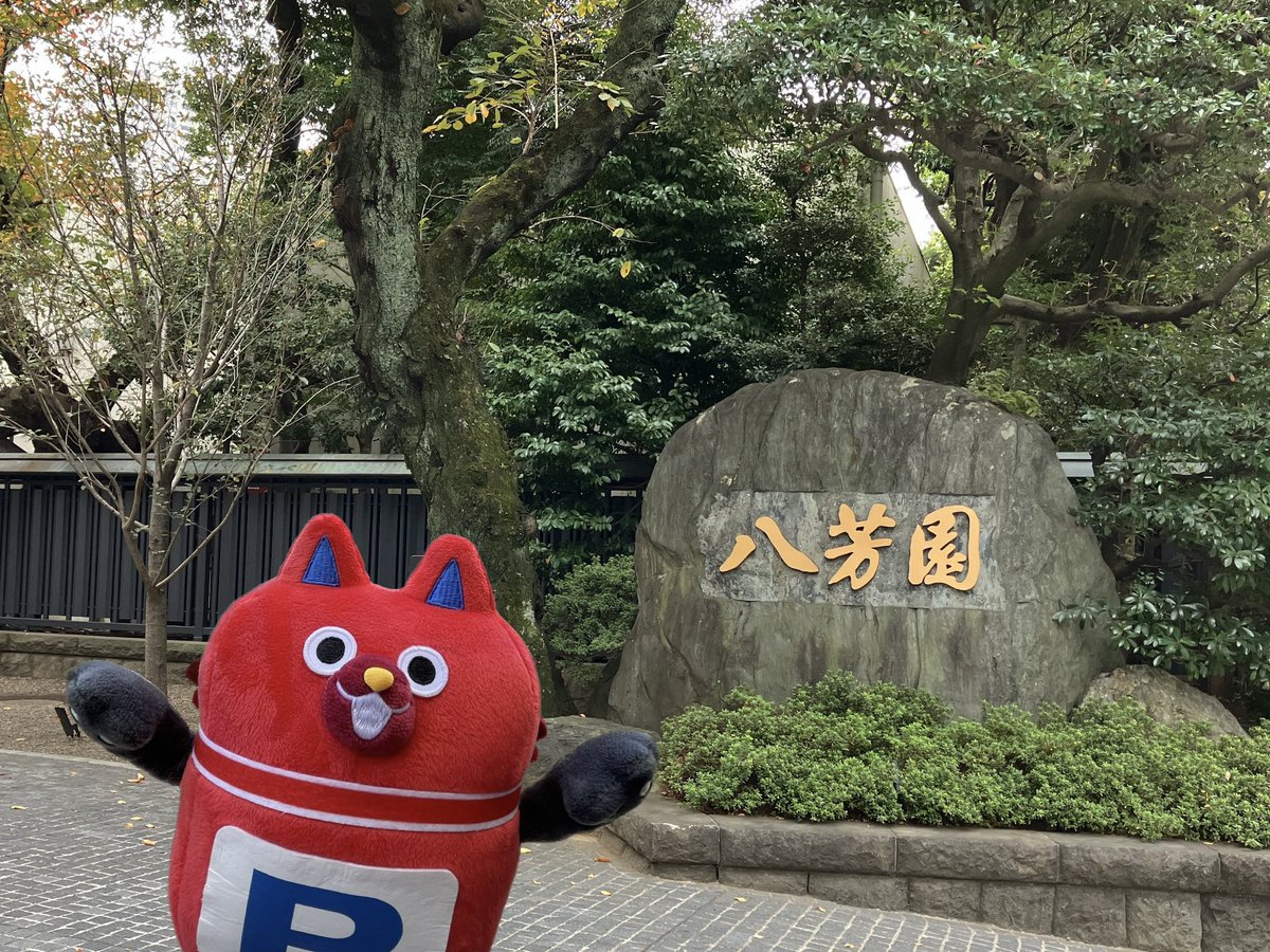 めきょぱ、本日は出張に来ています🗼
東京さむい・・・ʕ⁎̯͡⁎ʔ༄

#めきょぱ