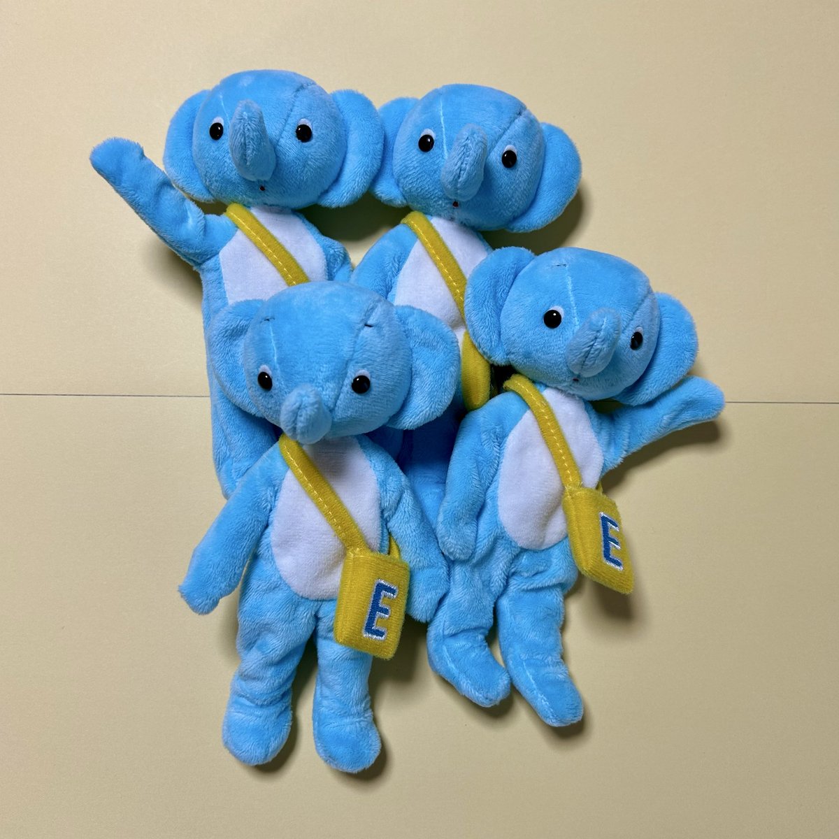 marumo bear (@marumobear) / Posts / X