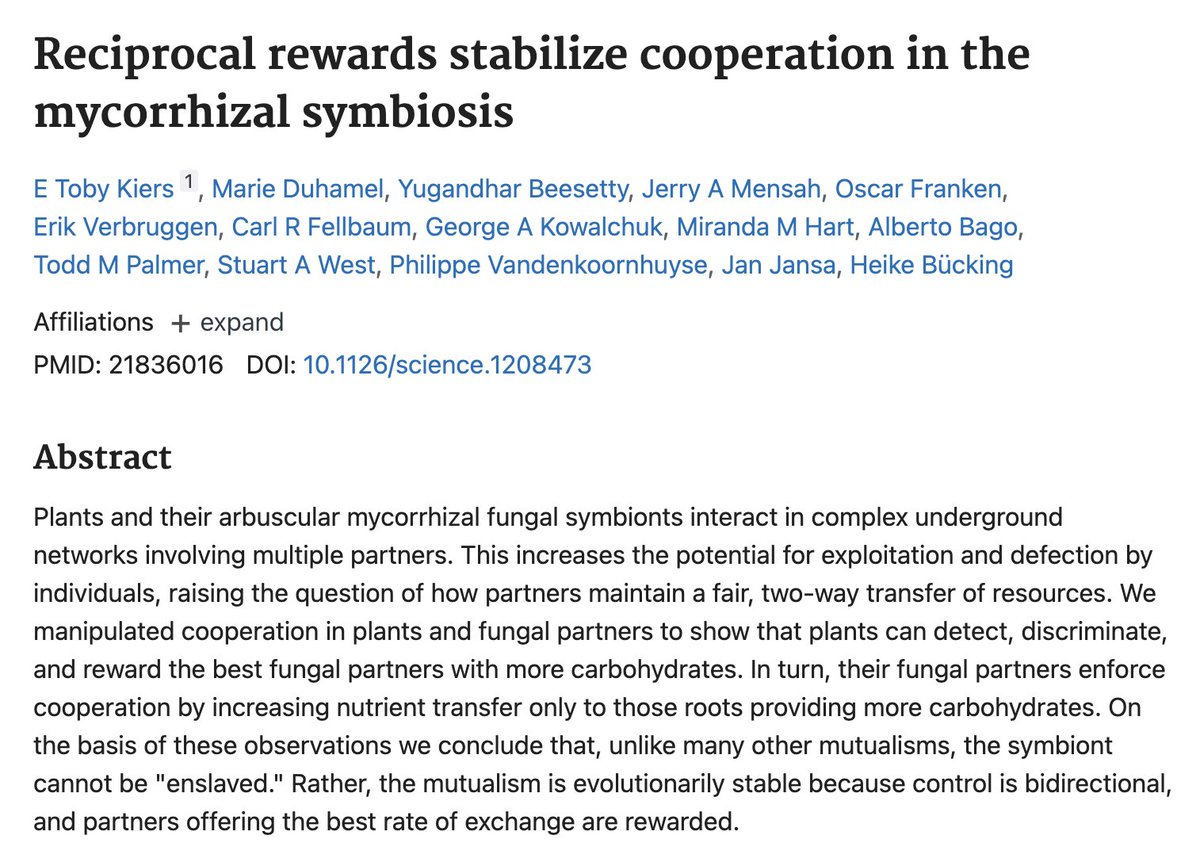 TechCapo's tweet image. brother they are literally doing accounting