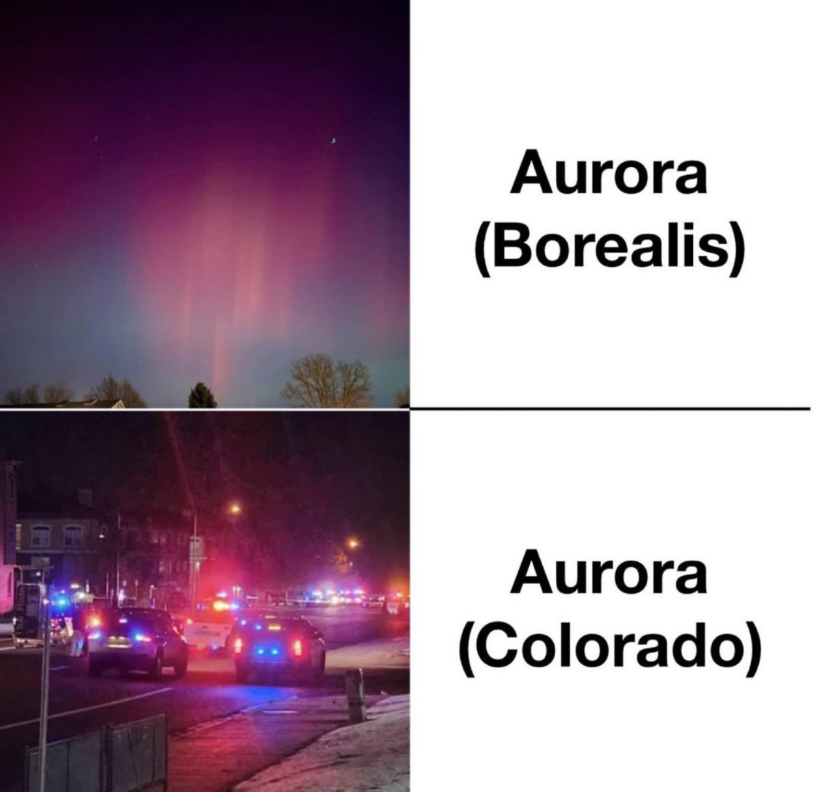 Bomp 🎰 (@mycelium_daddy) on Twitter photo 