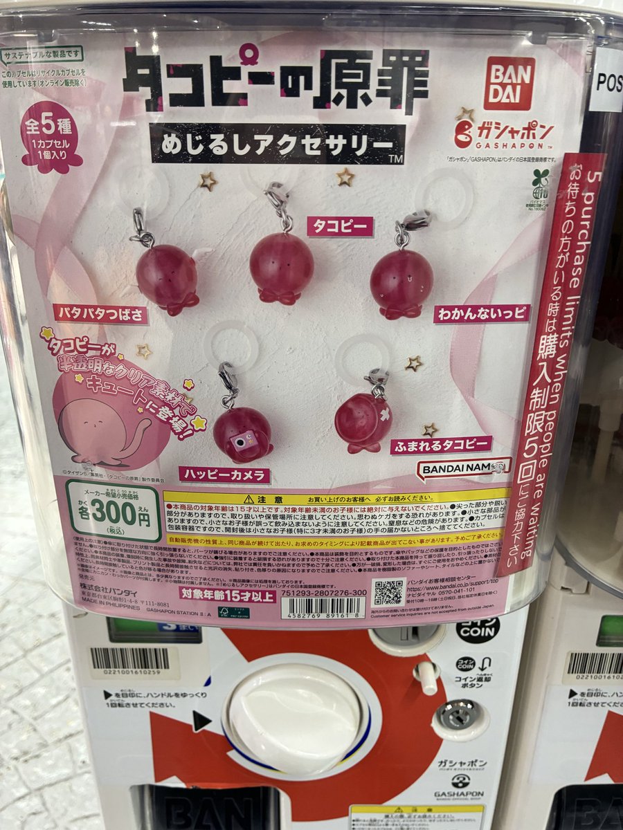 たこぴ たこぴー