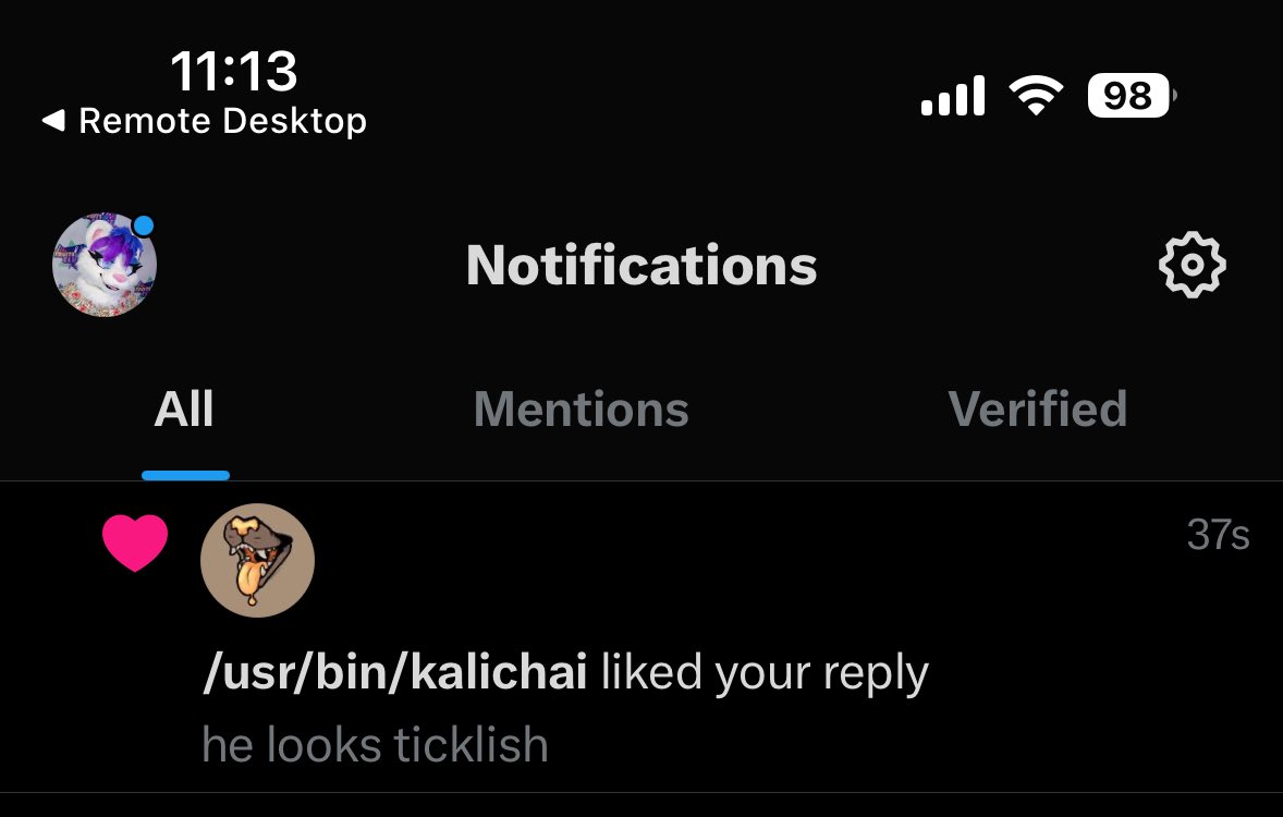 Alexander Rivercat tweet media