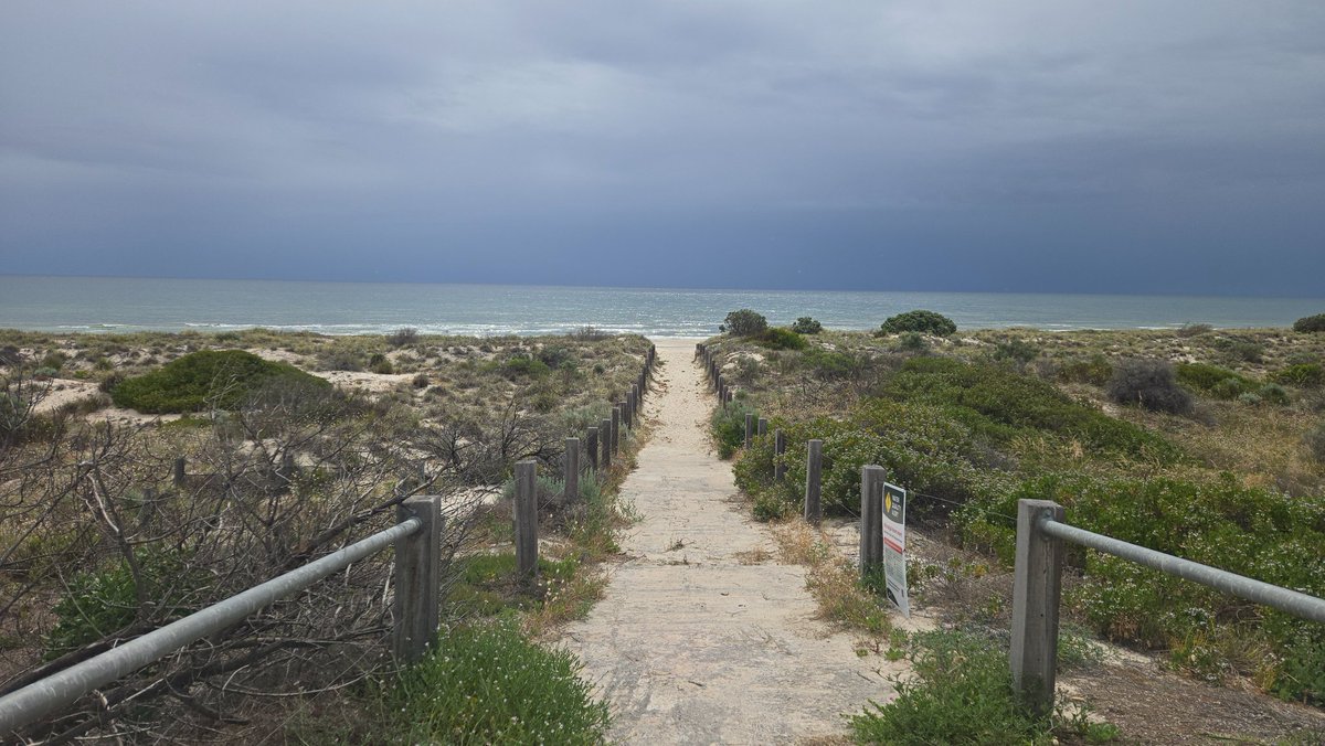 GallowayLabMIT's tweet image. Beautiful Adelaide!