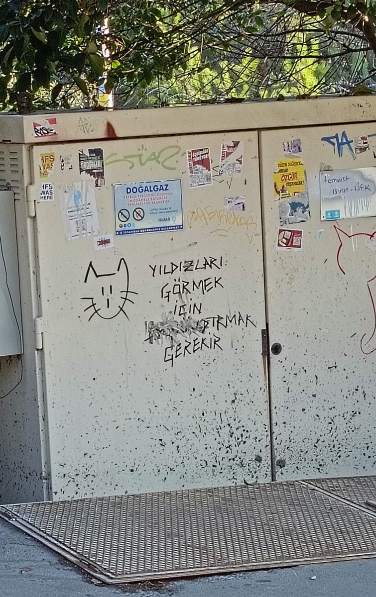 Başkaldırmayı mı sildiniz ya