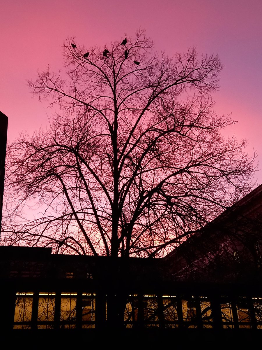 .
Guten Morgen ihr Lieben in der Welt 🌎
.
#GutenMorgen 
#goodmorning 
.