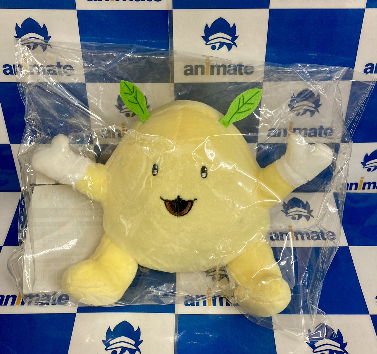 もこたろう ෆ̈ ぬい服 メメル メメルの洋服をかぎ針編みで製作中🧶 上下セットアップ試作中