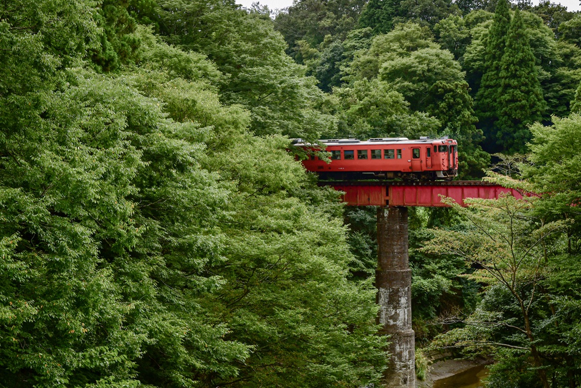 奥房総を行くタラコ色のキハ40。 一面緑に囲まれた鉄橋を走る姿は同車
