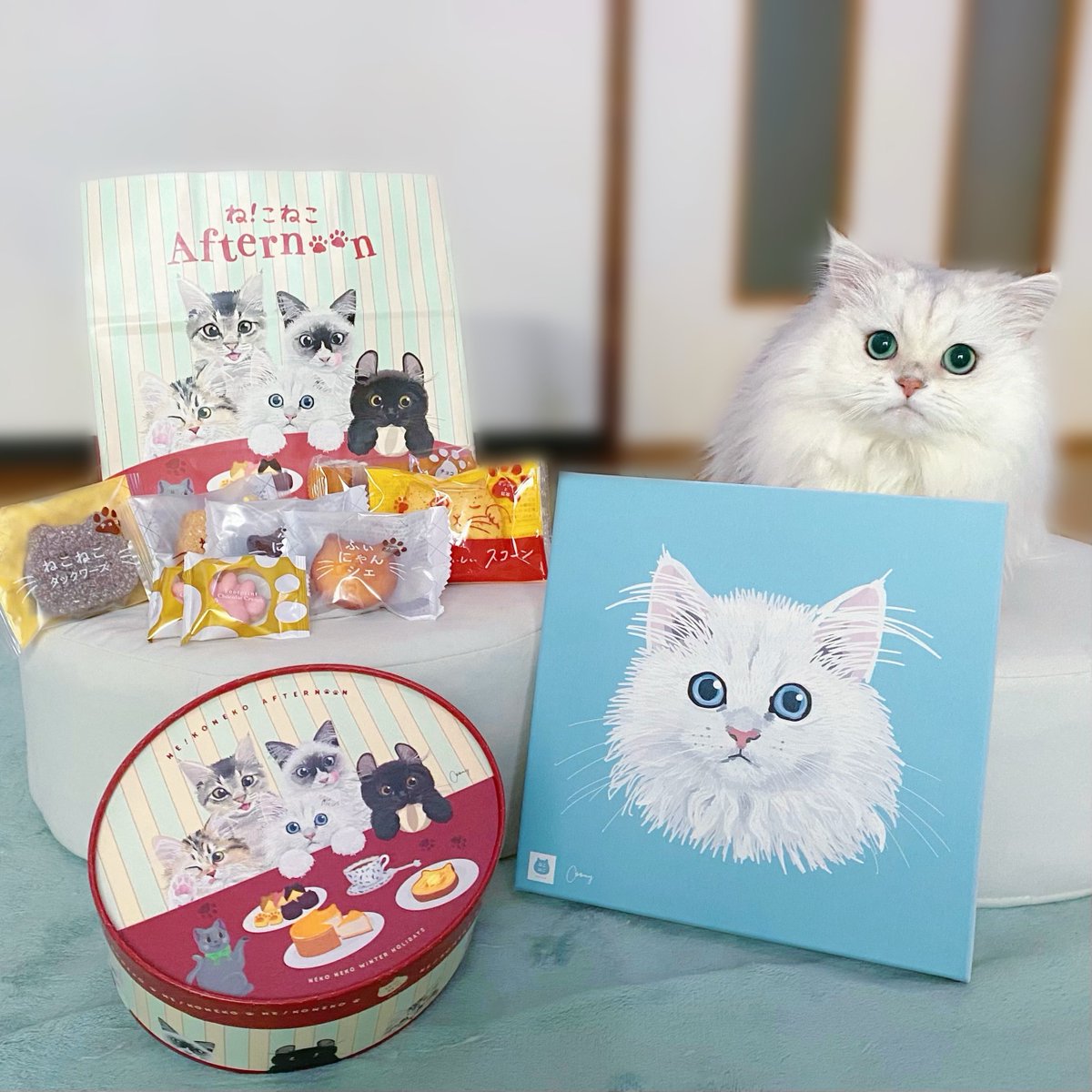 ねこねこチーズケーキ【公式】 (@neko_cheese_) / Posts / X