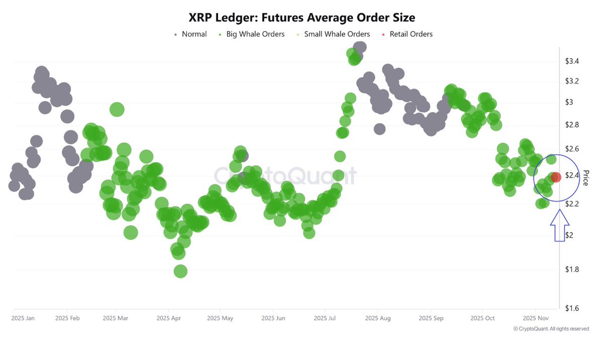 Whales were building #XRP positions before the ETF news.

Retail only showed up after the announcement.

This shift matters — once retail enters late, the market usually becomes more volatile and harder to read.
Whale flow + retail flow are now colliding.

Nothing is guaranteed
