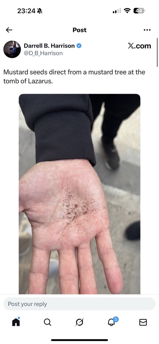 OurFavOnlineDoc's tweet photo. When Jesus said:

“IF you have faith like a mustard seed…”

Well, this is actually what a mustard seed looks like if you have never seen one.
This is totally mind-blowing. Wow. https://t.co/XNi5TEOfP4