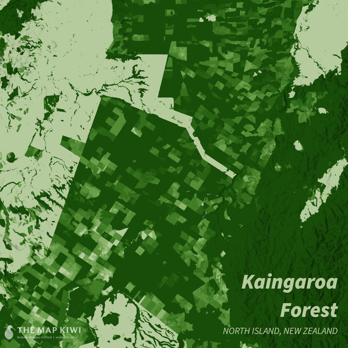 Andrew DC tweet media