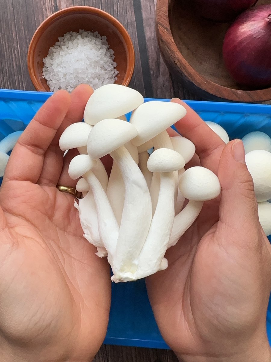 Grab a handful of marvellous mushrooms today and take your taste buds to #exotic places!
Want to add great-tasting #organic #Irish #exotic #local #mushrooms to your menu, shop or food offering? Just contact us at 057 8697696 or info@garryhinchmushrooms.ie
#organic #exotic #irish