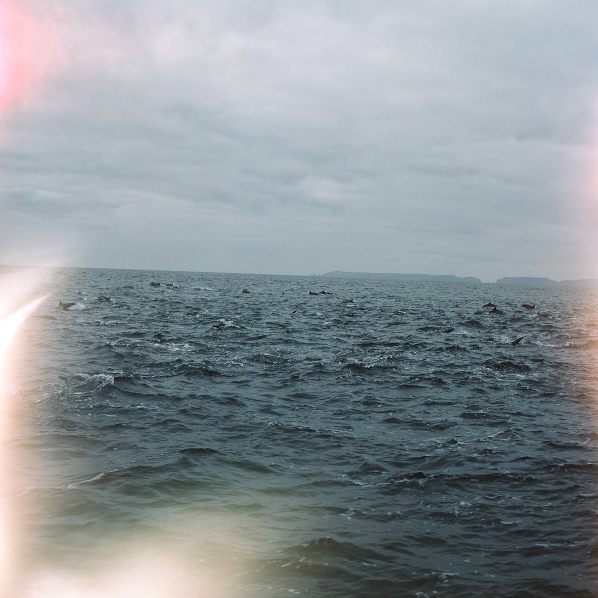 𝖉𝖊𝖒𝖎 tweet media